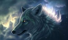 让我们走进神秘的“杀破狼”