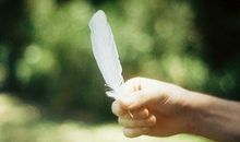 保罗-韦德2017年6月星座运势