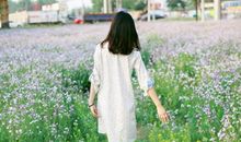 海百合12星座一周运势(12.28-1.3)