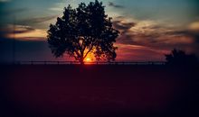 属蛇的文昌位在哪个方向