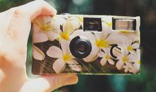 苏珊米勒2017年12月双子座运势