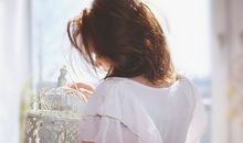 需要小心面对感情的生肖