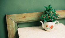 苏珊米勒2017年12月白羊座运势