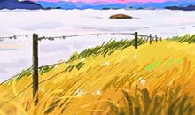 看清金牛座职场中的心机婊指数