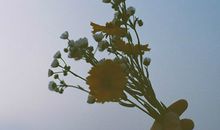 莫小奇2018年3月金牛座运势