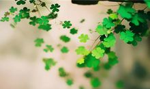 苏珊米勒2017年12月狮子座运势