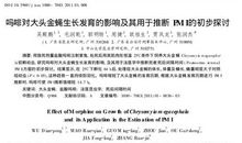 文化背景影响推断