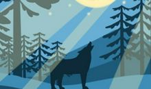 十二星座明星在哪排解压力