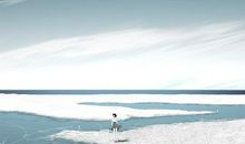 分析2014年全年运势--巨蟹座