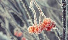 财运的好坏和家里的布局有关