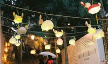 寂多蔓生2017年11月双子座运势