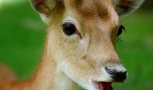 莫小奇2018年3月水瓶座运势