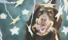 Georgia Nicols本周星座运势2013.10.14-10.20