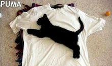 唐立淇2013年10月摩羯座运势