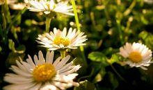 唐立淇2013年10月射手座运势