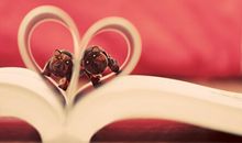 乔治娅-尼克斯十二星座周运（7.13-7.19）