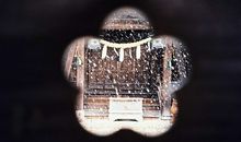 小乖麻根登卓玛2013年7月双鱼座运势