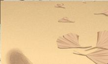 金牛座的怀旧指数