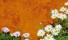 唐立淇2013年9月射手座运势