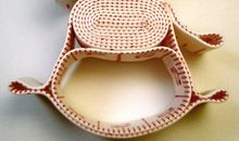 唐立淇2013年9月双鱼座运势