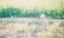 ElleHk每周星座运势（10.12-10.18）