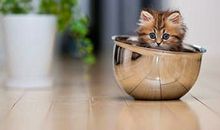 A微日记2013年8月天象解读