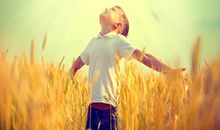 下半年时来运转迎来好运的星座