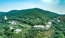 「十八飞星」的发展