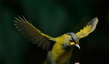 玛法达星座运势(10.3-10.9)