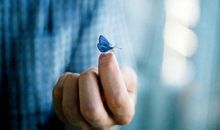 寂多蔓生2017年11月处女座运势