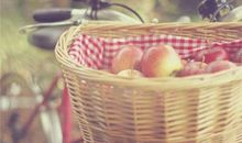 Alex:狮子座一周运势（5.7—5.13）