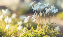 Alex:射手座一周运势（5.7—5.13）