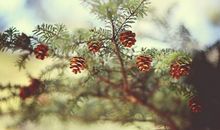 Alex:处女座一周运势（5.7—5.13）