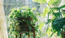 Alex:金牛座一周运势（5.7—5.13）