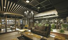 廉贞一星主血疾