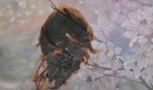 Geo老师2018年3月白羊座运势