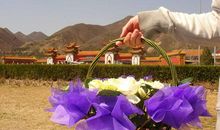 天寿发展成为天梁