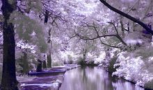 氧气占星2014年11月水瓶运势