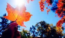 艾菲尔一周星座运势（9.28-10.4）