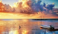 水蓝色眼泪2017年1月狮子座运势