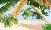 处女座喜欢挑剔的表现