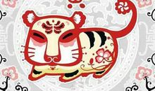 泓翔2018年生肖虎学业运势