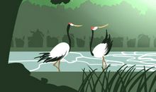 金牛座老婆的优点，让你娶了就是赚！