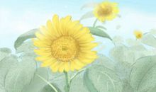 节日大全 花婆节是哪个民族的节日