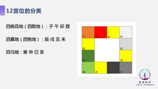 《紫微斗树》解释