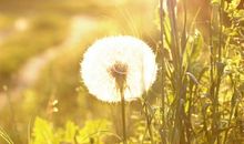 周公解梦之梦见蛇会有什么征兆