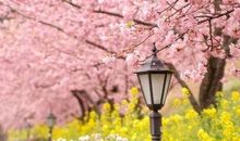 氧气占星2014年11月射手运势