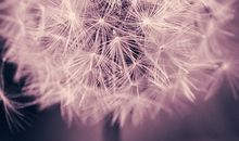 氧气占星2014年11月双子运势