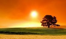 氧气占星2014年11月狮子运势