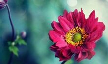 Alex:双鱼座一周运势（5.7—5.13）